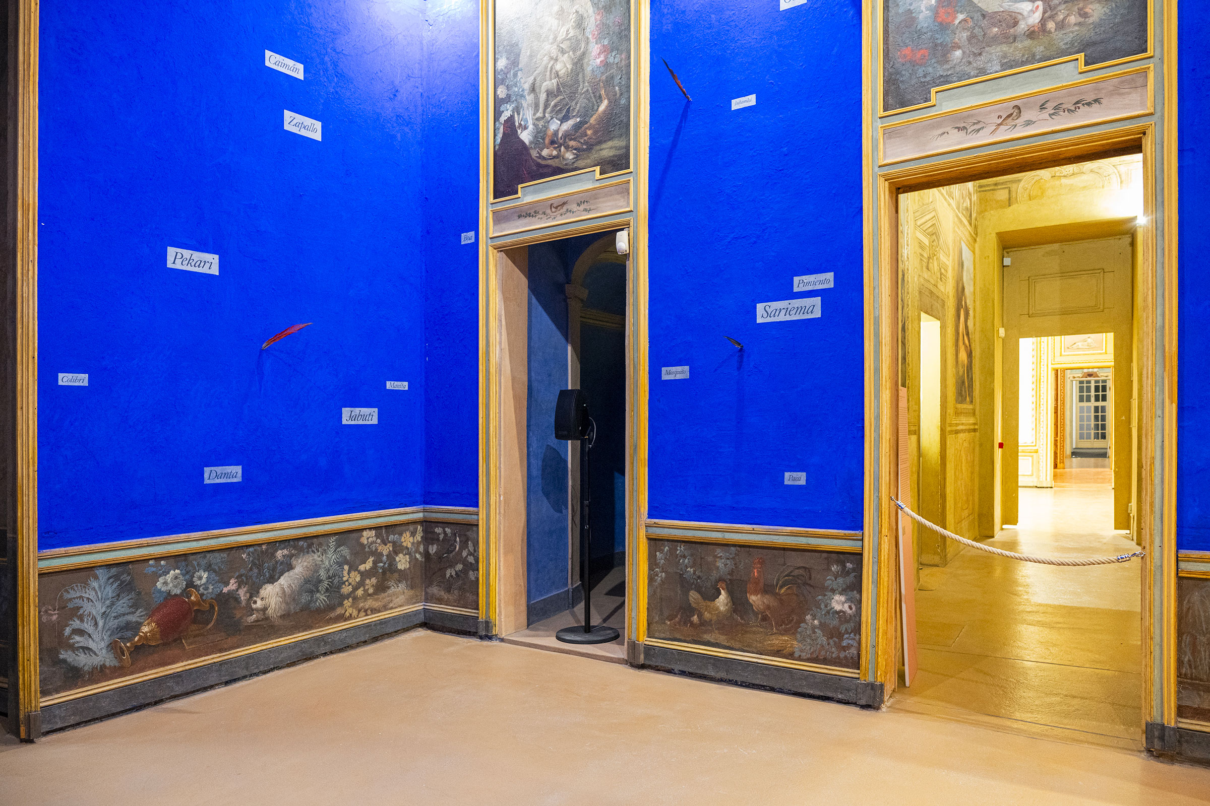 u0022I suoni del mondo / Sounds of the worldu0022, veduta espositiva